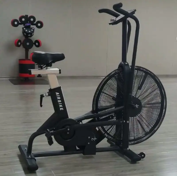 Prima Balboa Air Bike